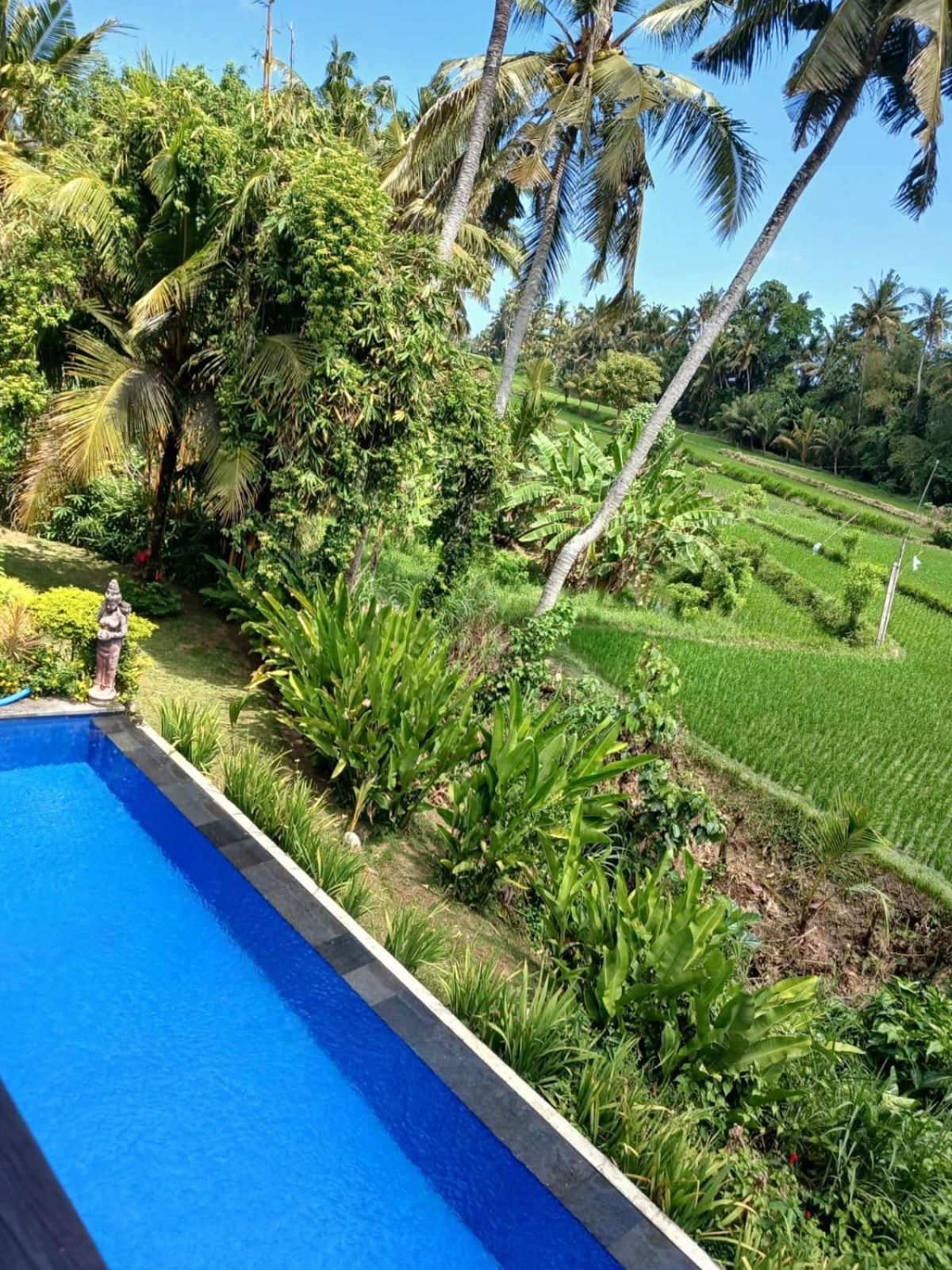 Sunset Pandawa Villa 乌布 外观 照片