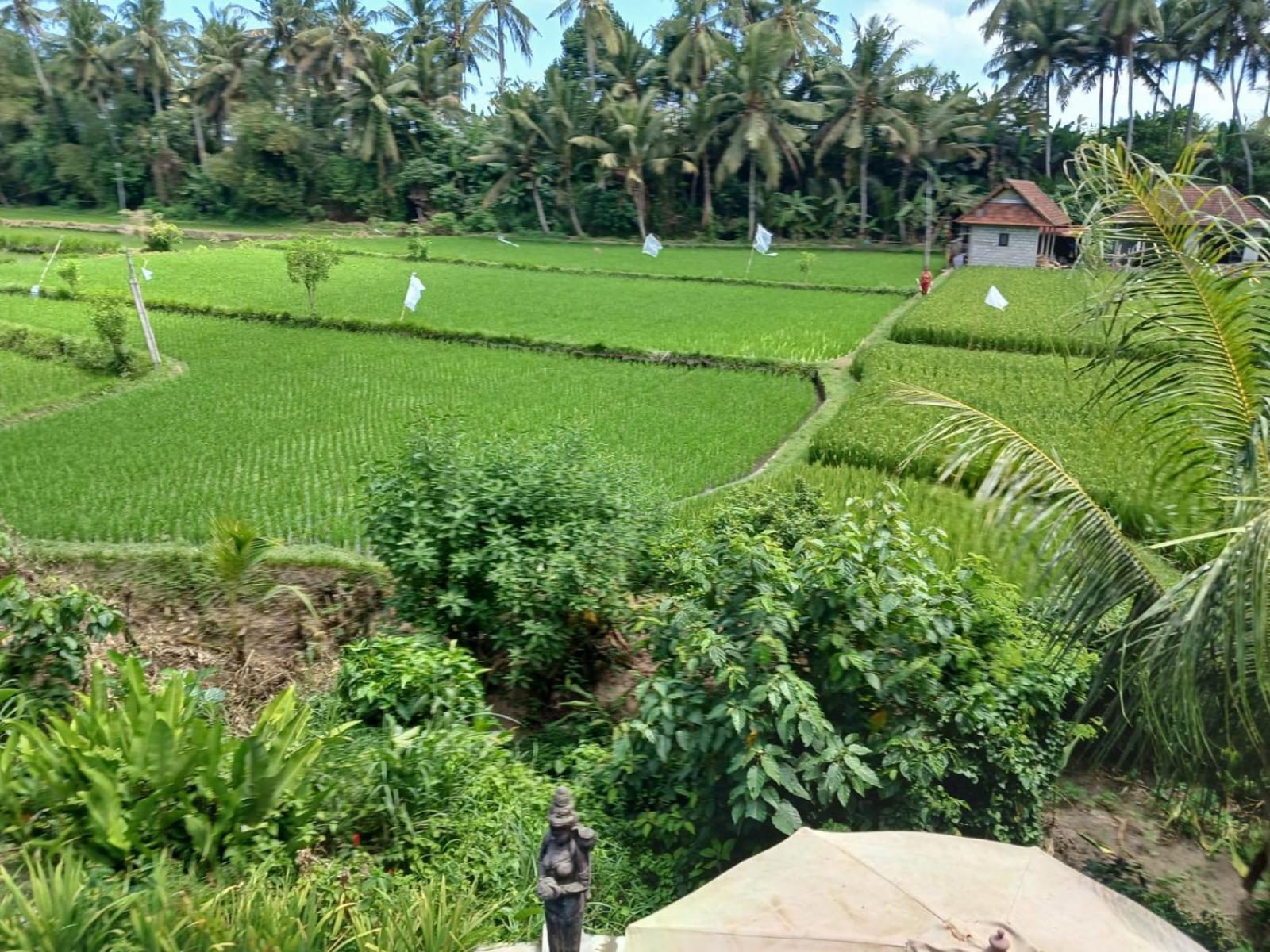 Sunset Pandawa Villa 乌布 外观 照片